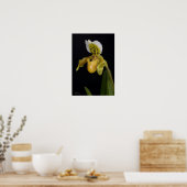 Poster Paphiopedilum Exul (Cuisine)
