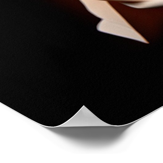 Poster Papier (Coin)