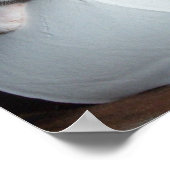 Poster Papier (Coin)