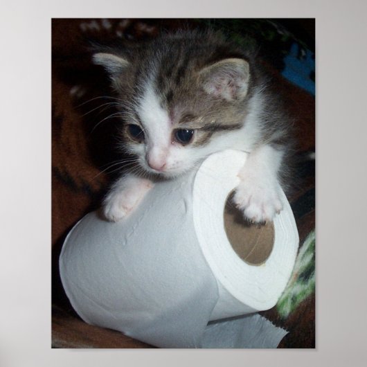 Poster Papier (Devant)