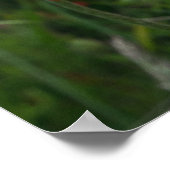 Poster Papier (Coin)