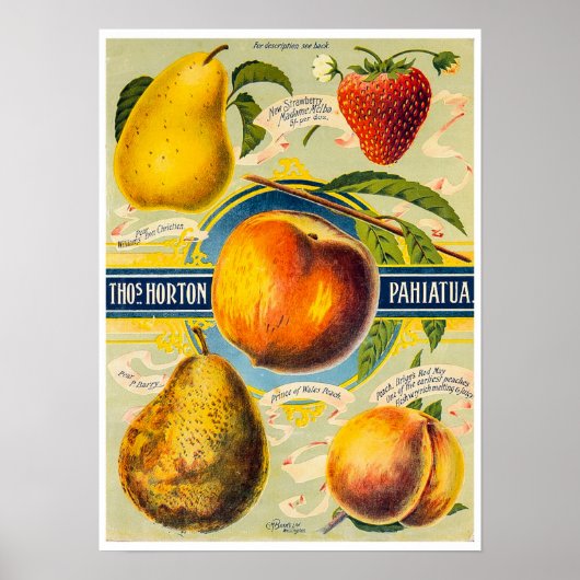 Poster Papier à fruits néo-zélandais (Devant)