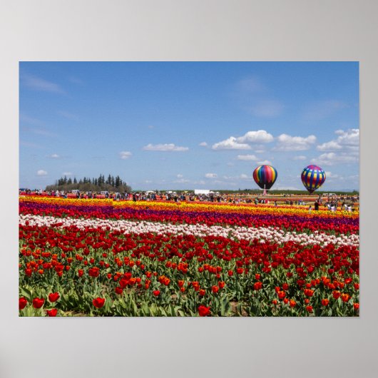 Poster Papier-affiche pour tulipes de printemps (Matte) (Devant)