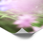 Poster Papier bleu Cornflower (Coin)