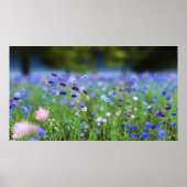 Poster Papier bleu Cornflower (Devant)