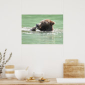 Poster Papier d'affiche 28x20 (Matte) avec ours grizzli (Cuisine)