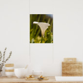 Poster Papier d'affiche à fleurs blanches (mat) (Cuisine)
