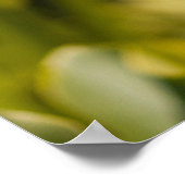 Poster Papier d'affiche à fleurs blanches (mat) (Coin)