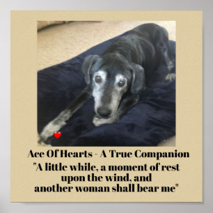 Poster Papier d'affiche commémoratif de la typographie de