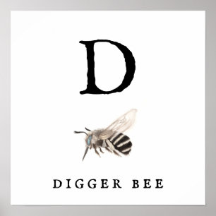 Poster Papier d'affiche "D" Digger Bee Value (Matte)