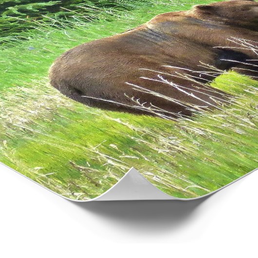 Poster Papier d'affiche de valeur 8x10 (Matte) avec ours  (Coin)