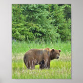 Poster Papier d'affiche de valeur 8x10 (Matte) avec ours  (Devant)