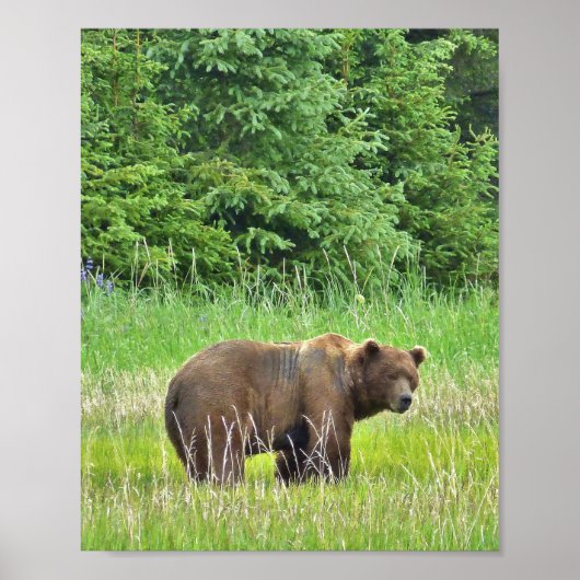 Poster Papier d'affiche de valeur 8x10 (Matte) avec ours  (Devant)