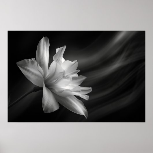 Poster Papier d'affiche de valeur (Matte) (Devant)