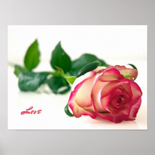 Poster Papier d'affiche de valeur rose (amour) (mat) (Devant)