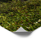 Poster Papier d'affiche des montagnes majestic (Matte) (Coin)