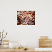 Poster Papier d'affiche Feuille de l'érable d'automne (Ma (Cuisine)