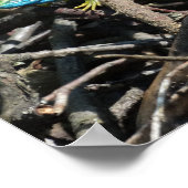 Poster Papier d'affiche Green Lizard Photo Value (Coin)