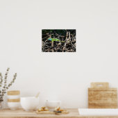 Poster Papier d'affiche Green Lizard Photo Value (Cuisine)