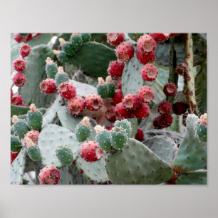Poster Papier d'affiche rouge de valeur de photo de fruit