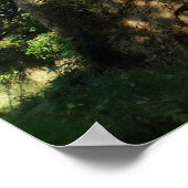 Poster Papier de l'affiche Vieux Arbre Photo Valeur (Matt (Coin)