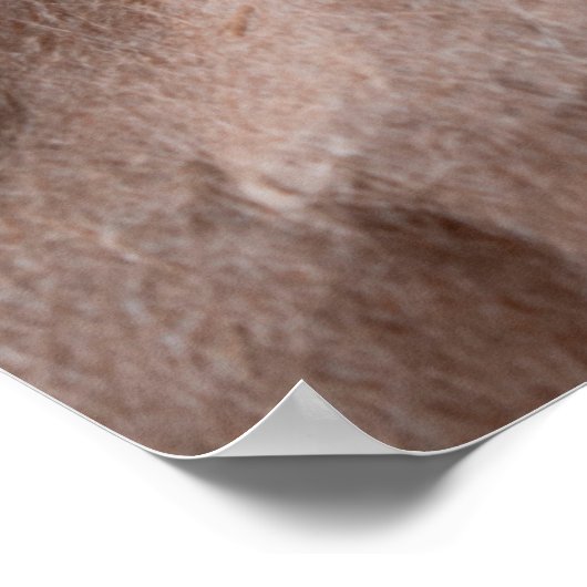 Poster Papier effondré rustique (Coin)