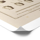 Poster Papier marbré, de l'"Encyclopedia" de Denis D (Coin)