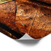 Poster Papier (Matte) cigare cuban, luxe (Coin)