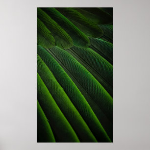 Poster Papier peint 3D vert