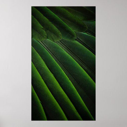 Poster Papier peint 3D vert (Devant)