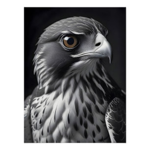 Poster Papier peint Falcon Wildlife Majestic Nature Life