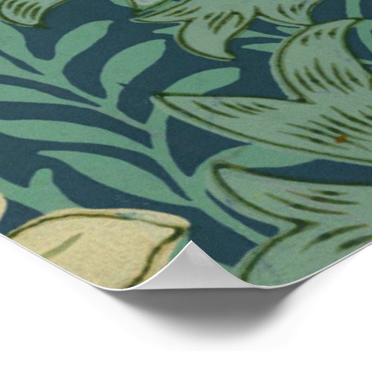 Poster Papier peint Motif échantillon avec Chrysanthemum (Coin)