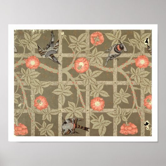 Poster Papier peint Trellis avec fond vert bouteille (Devant)
