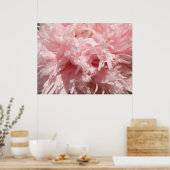 Poster Papier Pretty Pale Rose (Cuisine)