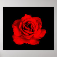 Papier rose rouge