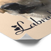 Poster Papiers d'art Labrador Retriever (Coin)