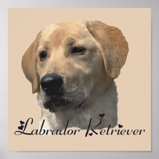 Poster Papiers d'art Labrador Retriever (Devant)