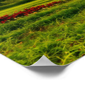 Poster papiers peints naturels conçus pour toutes les cha (Coin)