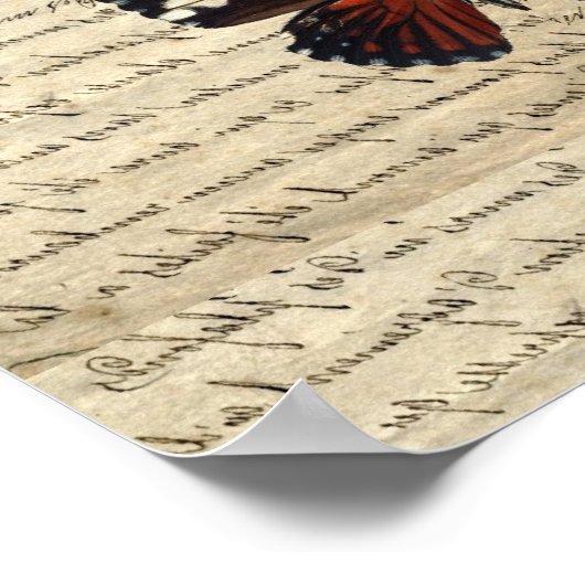 Poster papillon (Coin)