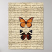 Poster papillon (Devant)