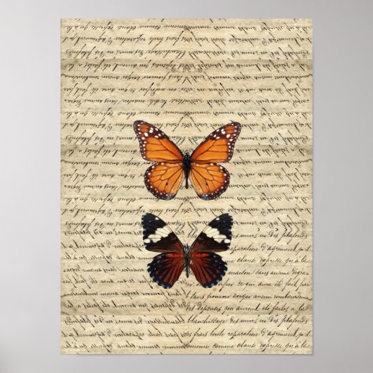 Poster papillon (Devant)