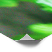 Poster Papillon (Coin)