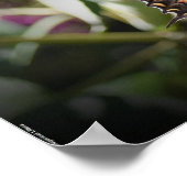 Poster Papillon, (Coin)