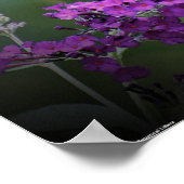 Poster Papillon, (Coin)