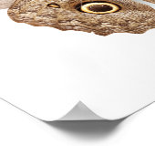 Poster Papillon (Coin)