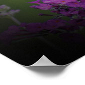 Poster Papillon, (Coin)