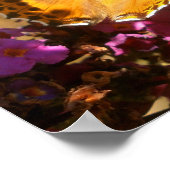 Poster Papillon. (Coin)