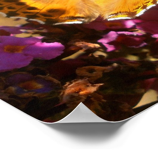 Poster Papillon. (Coin)