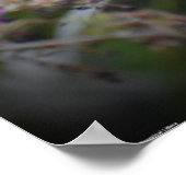 Poster Papillon, (Coin)