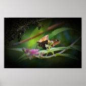 Poster Papillon, (Devant)